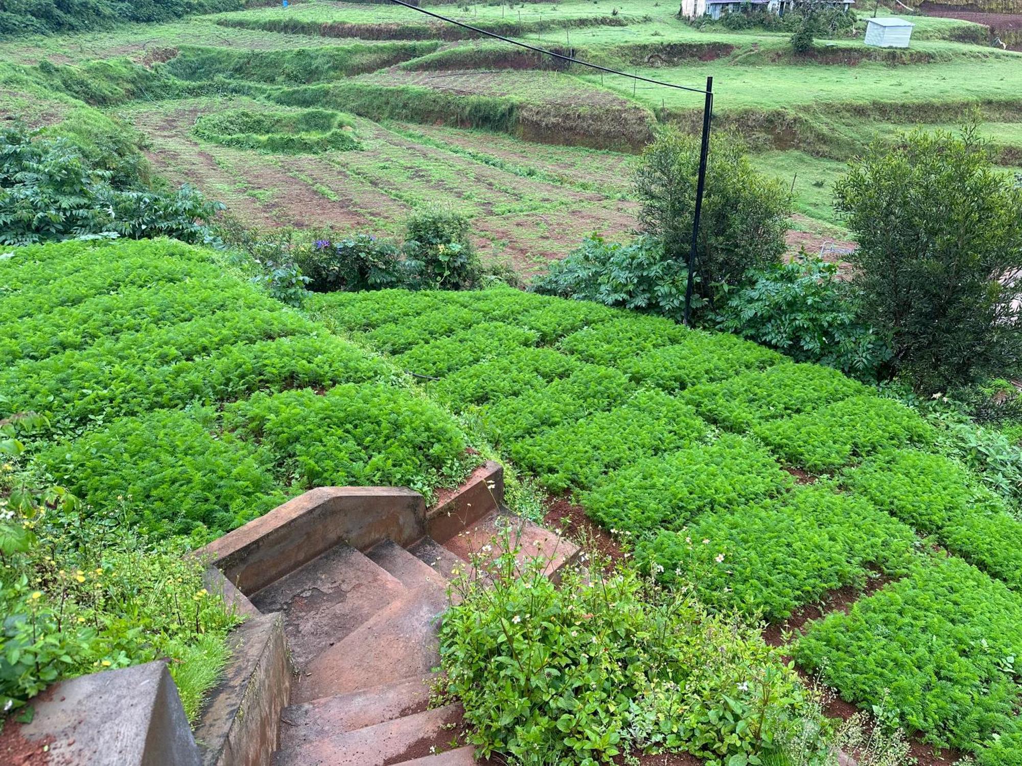 Kanjira House Ooty Esterno foto